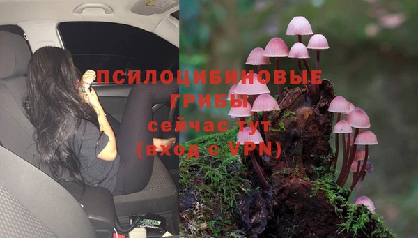 спайс Алексин