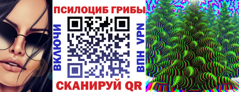 Псилоцибиновые грибы мицелий  Сокол 