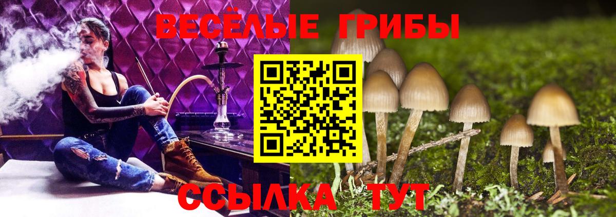 Псилоцибиновые грибы прущие грибы  Вход с VPN  закладка  Сокол 