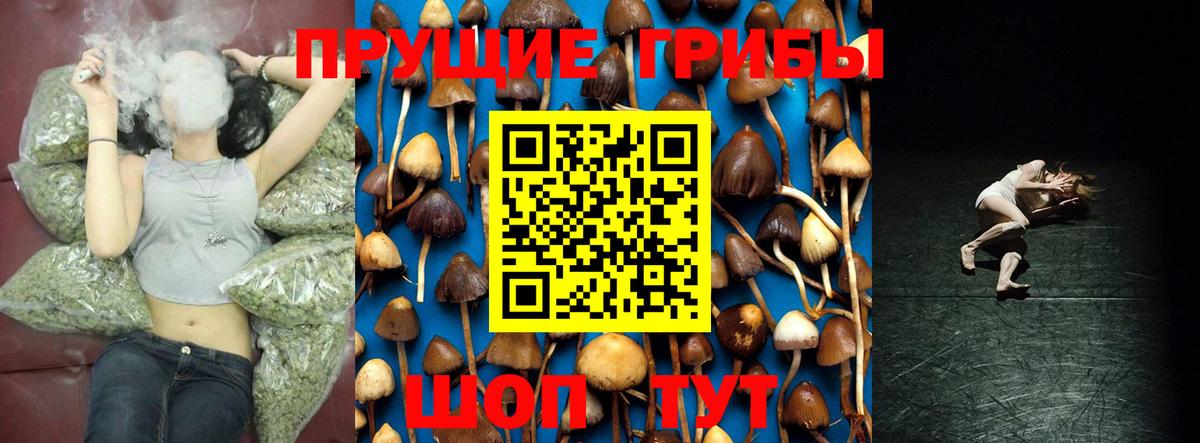 Псилоцибиновые грибы мухоморы  Вход с VPN  Сокол 