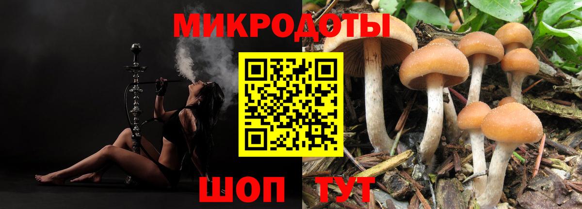 Псилоцибиновые грибы Psilocybine cubensis Сокол
