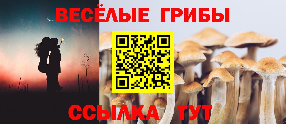Галлюциногенные грибы ЛСД Сокол